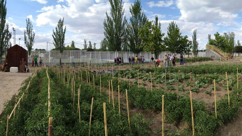 Bancales con tutores de un huerto urbano comunitario de Madrid